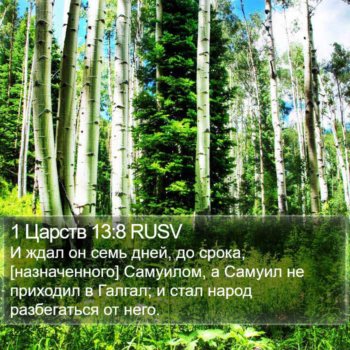 1 Царств 13:8 RUSV Bible Study