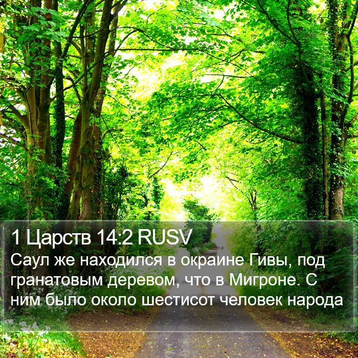 1 Царств 14:2 RUSV Bible Study