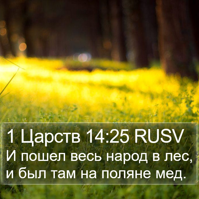 1 Царств 14:25 RUSV Bible Study