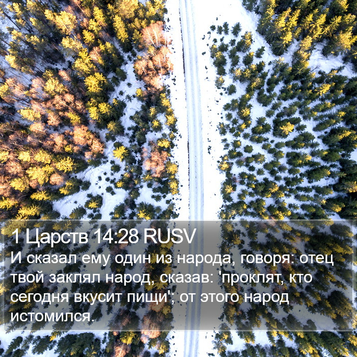 1 Царств 14:28 RUSV Bible Study