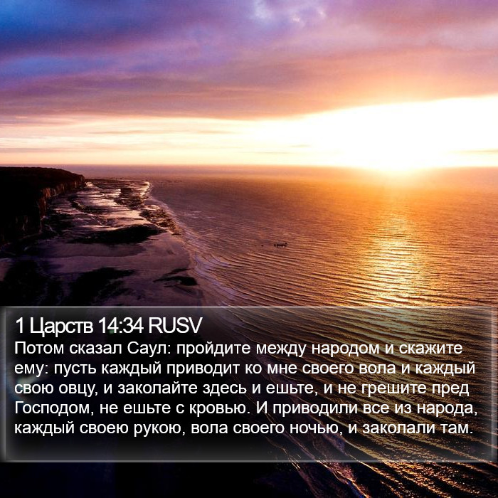 1 Царств 14:34 RUSV Bible Study