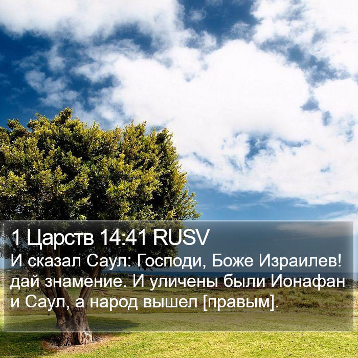 1 Царств 14:41 RUSV Bible Study