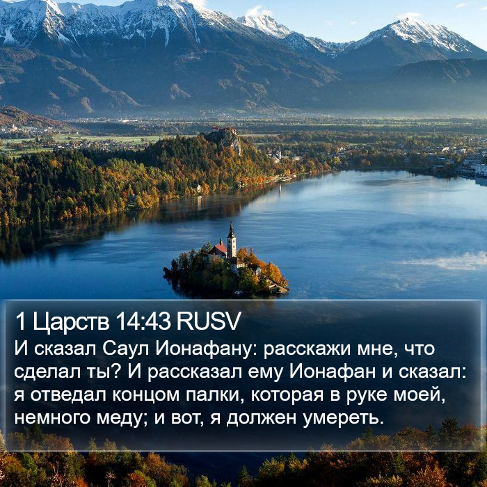 1 Царств 14:43 RUSV Bible Study