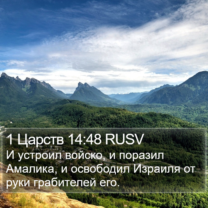 1 Царств 14:48 RUSV Bible Study