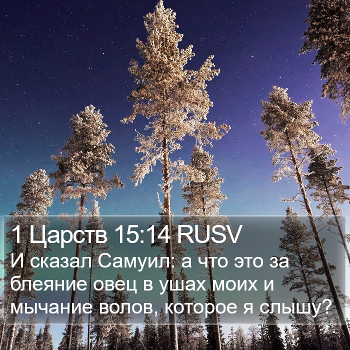 1 Царств 15:14 RUSV Bible Study