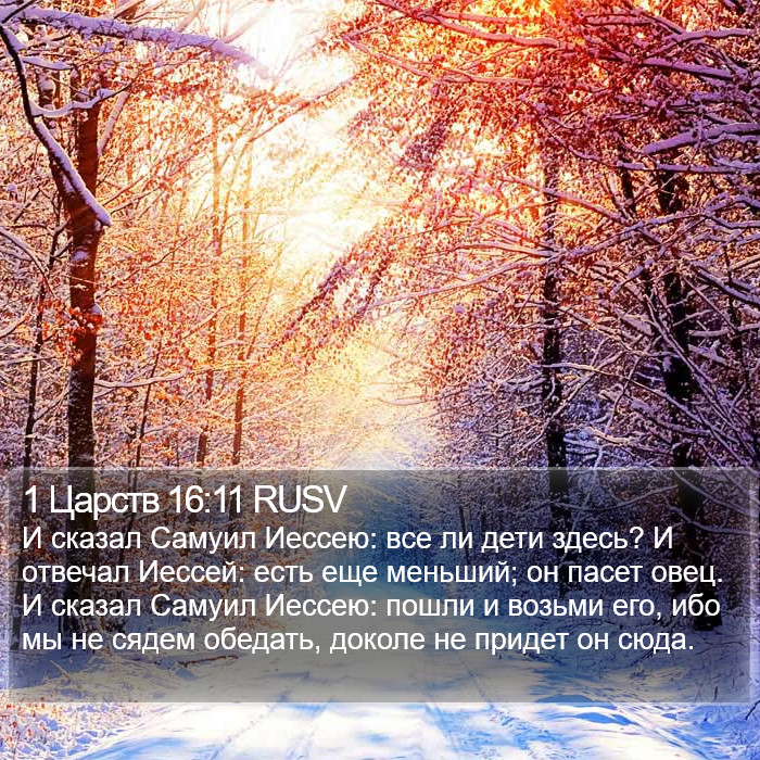 1 Царств 16:11 RUSV Bible Study