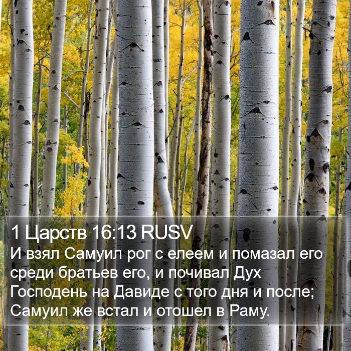 1 Царств 16:13 RUSV Bible Study