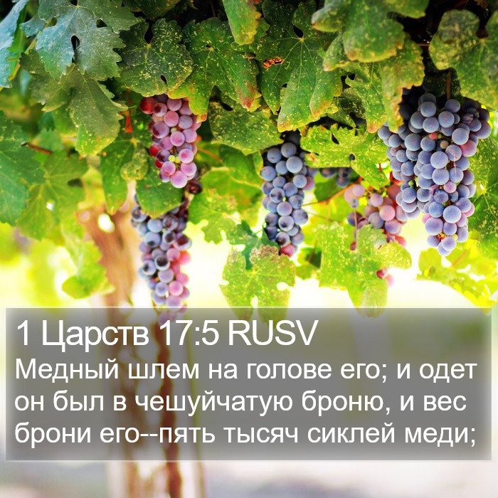 1 Царств 17:5 RUSV Bible Study