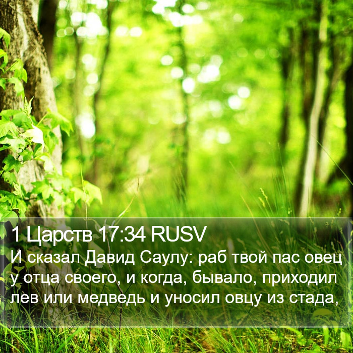 1 Царств 17:34 RUSV Bible Study