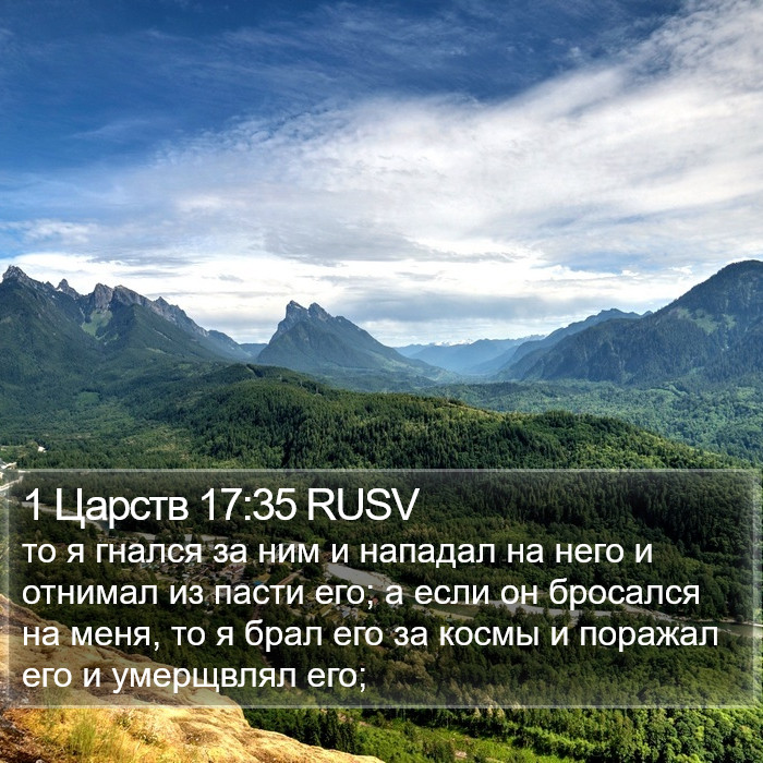 1 Царств 17:35 RUSV Bible Study