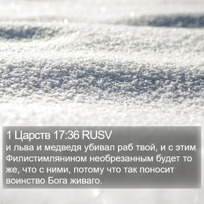 1 Царств 17:36 RUSV Bible Study