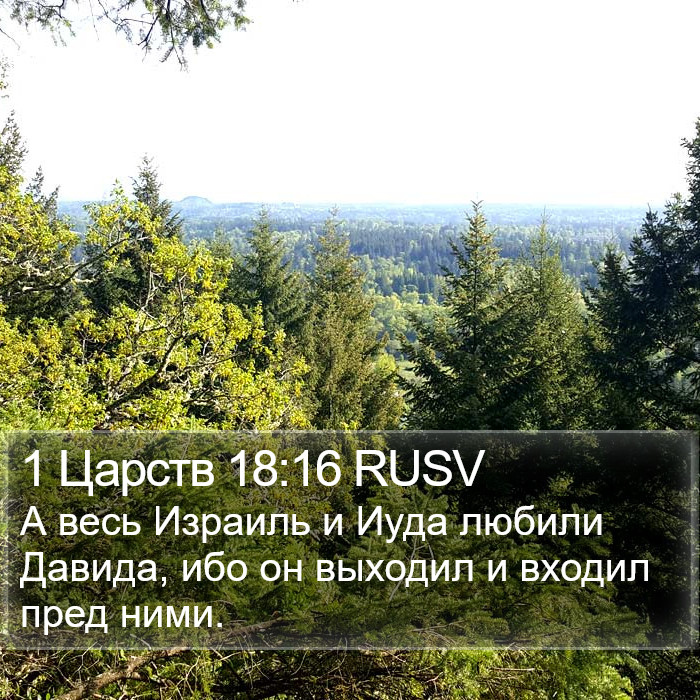 1 Царств 18:16 RUSV Bible Study