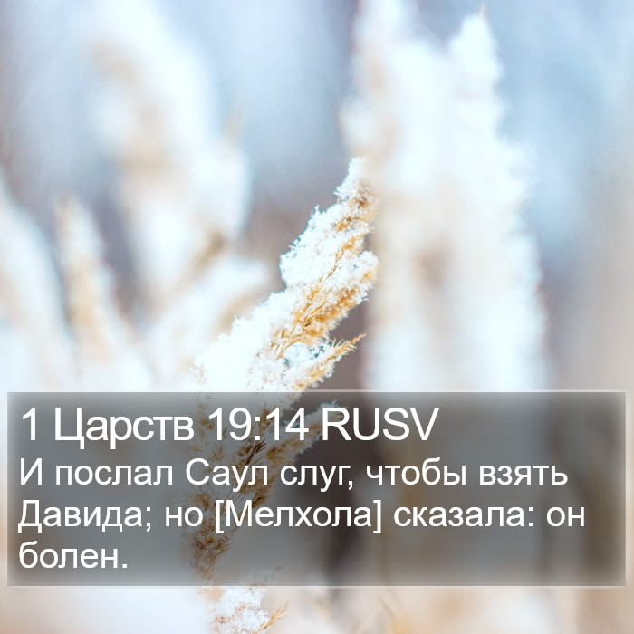 1 Царств 19:14 RUSV Bible Study