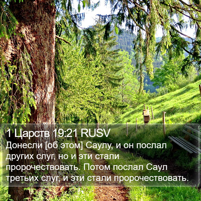 1 Царств 19:21 RUSV Bible Study