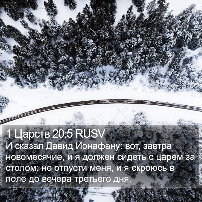 1 Царств 20:5 RUSV Bible Study