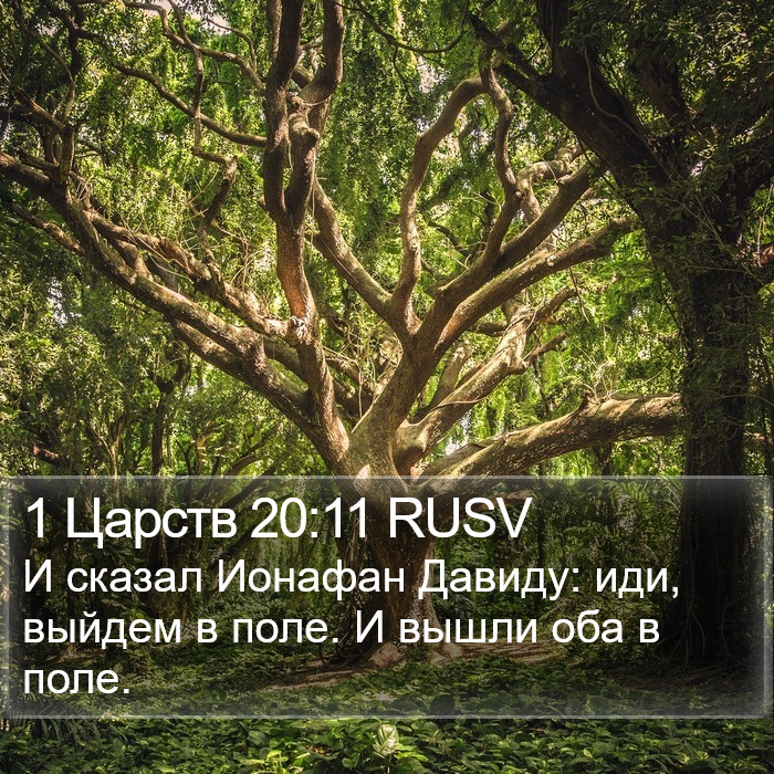 1 Царств 20:11 RUSV Bible Study