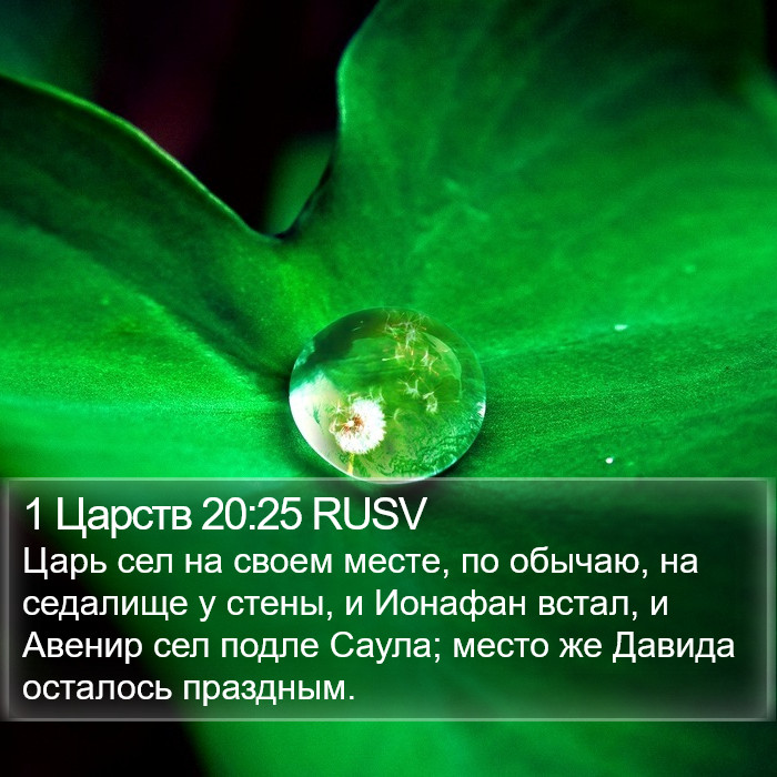 1 Царств 20:25 RUSV Bible Study