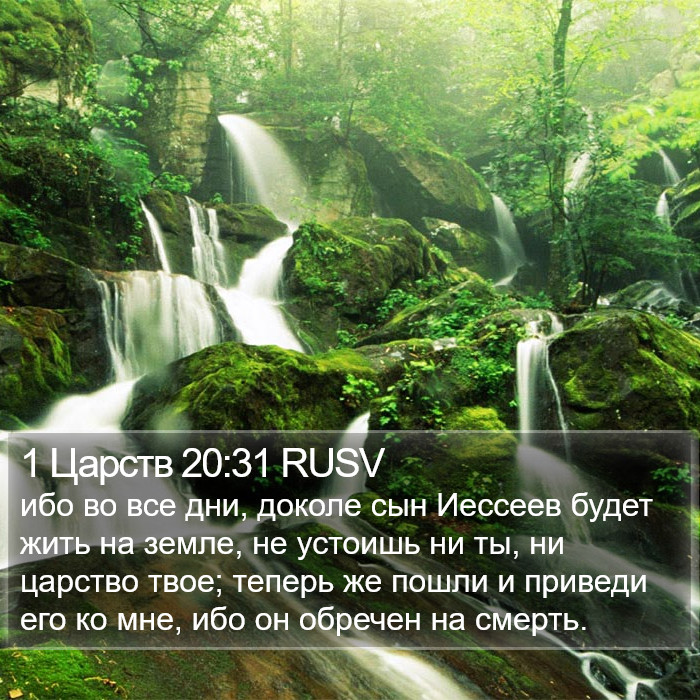 1 Царств 20:31 RUSV Bible Study