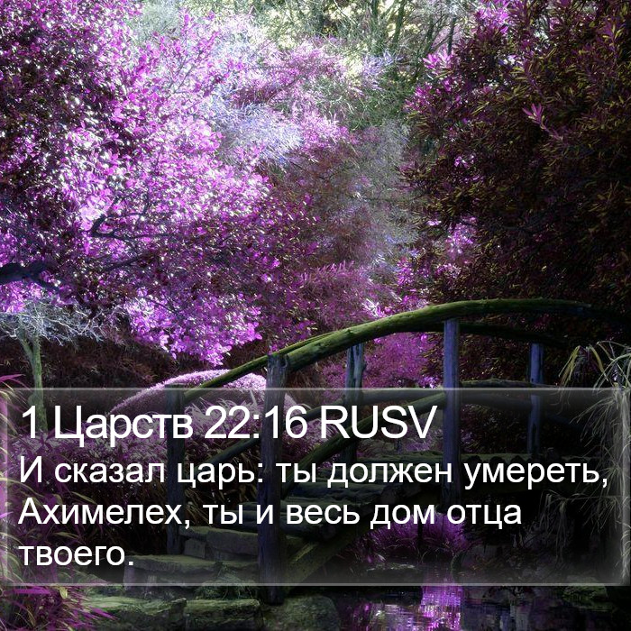 1 Царств 22:16 RUSV Bible Study