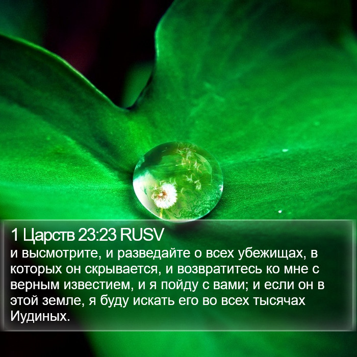 1 Царств 23:23 RUSV Bible Study