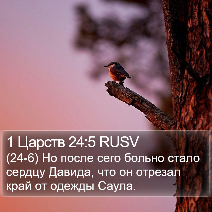 1 Царств 24:5 RUSV Bible Study