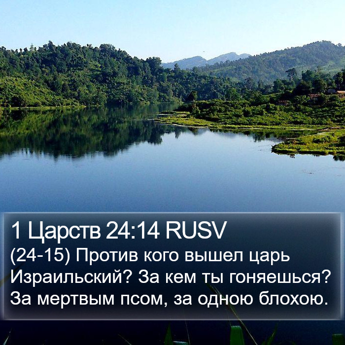 1 Царств 24:14 RUSV Bible Study