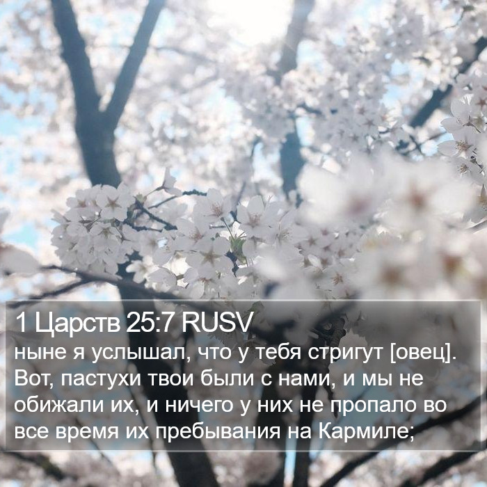 1 Царств 25:7 RUSV Bible Study