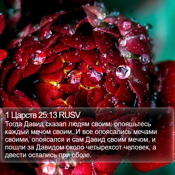 1 Царств 25:13 RUSV Bible Study