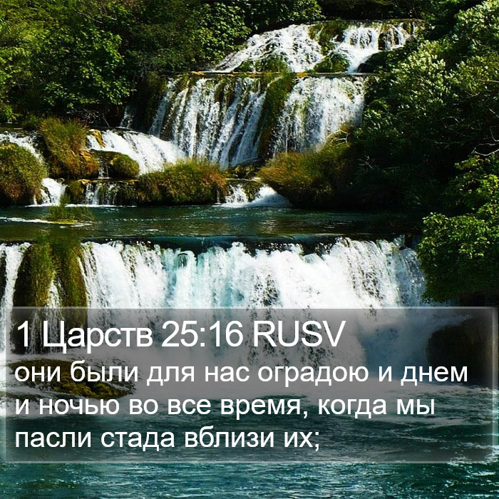 1 Царств 25:16 RUSV Bible Study