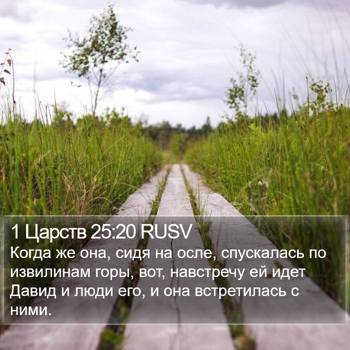 1 Царств 25:20 RUSV Bible Study