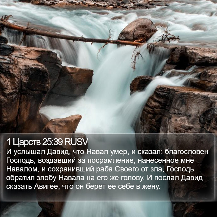 1 Царств 25:39 RUSV Bible Study