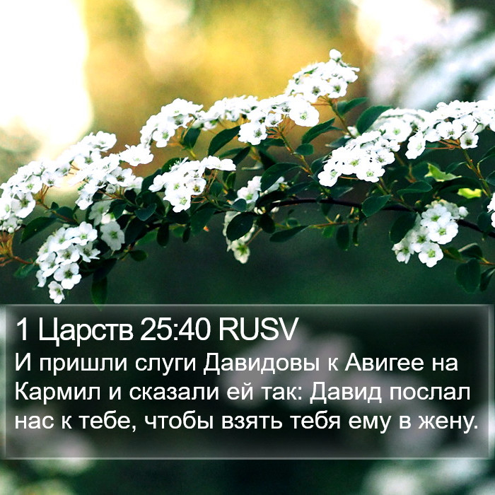 1 Царств 25:40 RUSV Bible Study