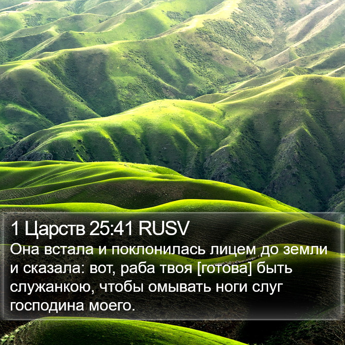 1 Царств 25:41 RUSV Bible Study