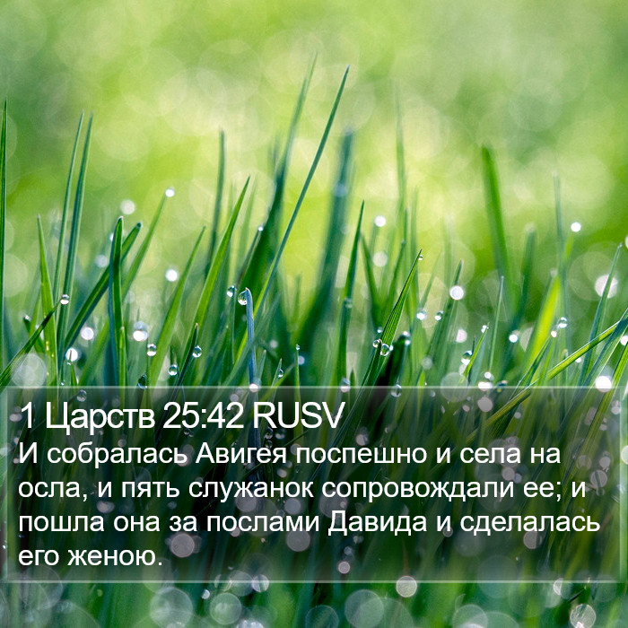 1 Царств 25:42 RUSV Bible Study