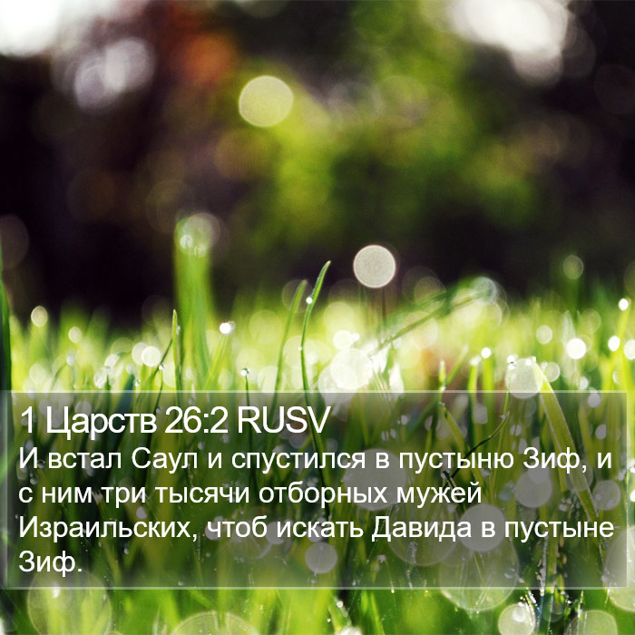 1 Царств 26:2 RUSV Bible Study