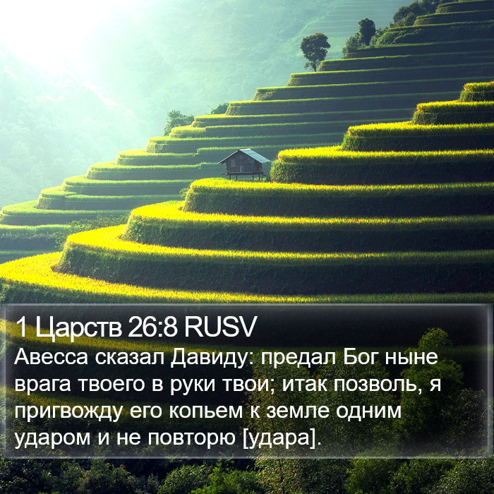 1 Царств 26:8 RUSV Bible Study