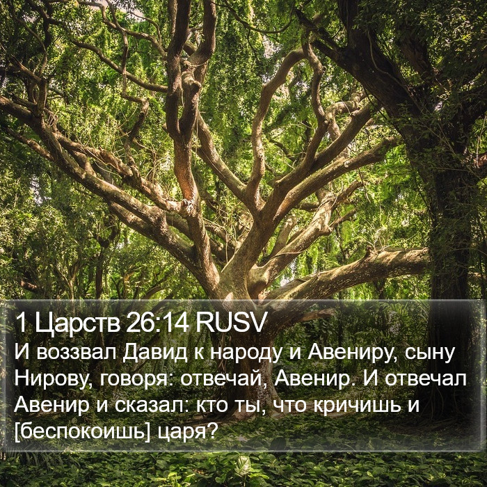 1 Царств 26:14 RUSV Bible Study