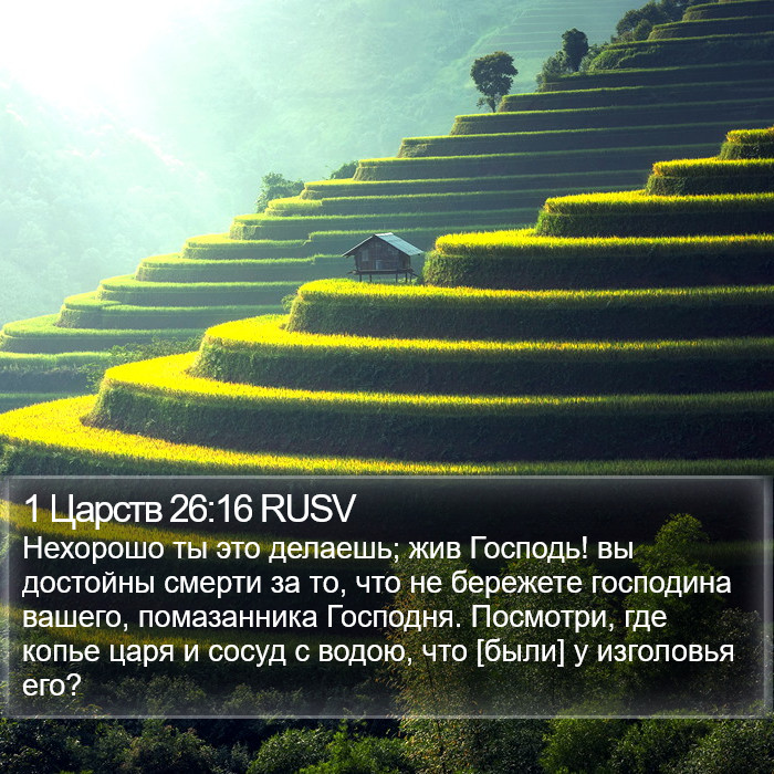 1 Царств 26:16 RUSV Bible Study