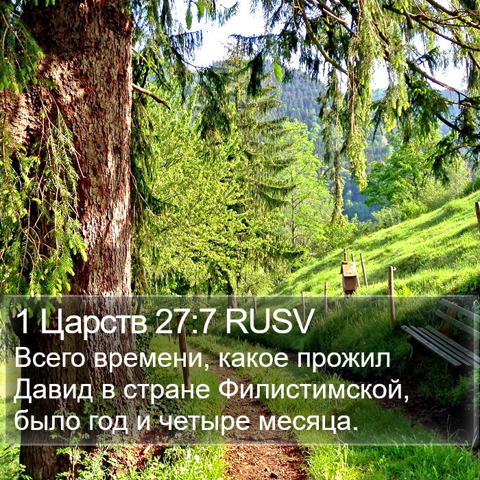 1 Царств 27:7 RUSV Bible Study