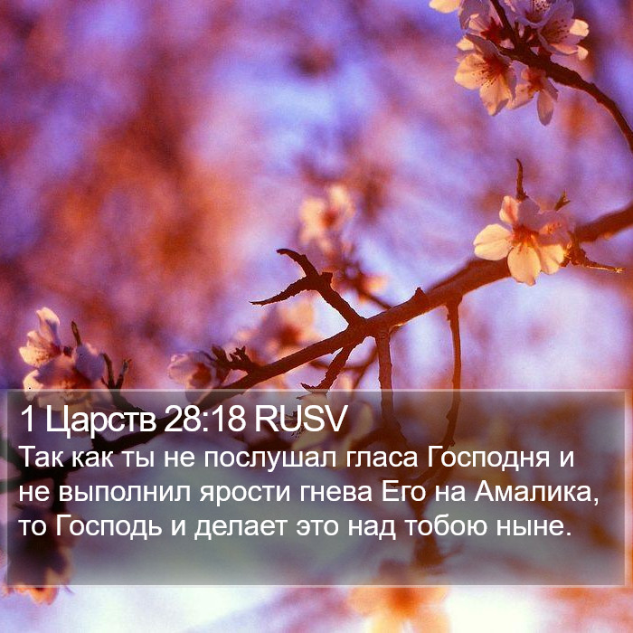 1 Царств 28:18 RUSV Bible Study