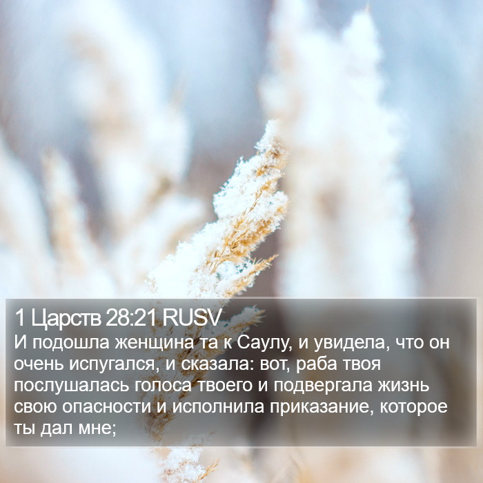 1 Царств 28:21 RUSV Bible Study