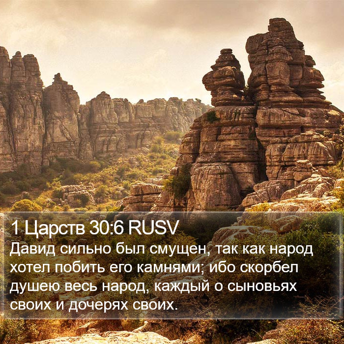 1 Царств 30:6 RUSV Bible Study