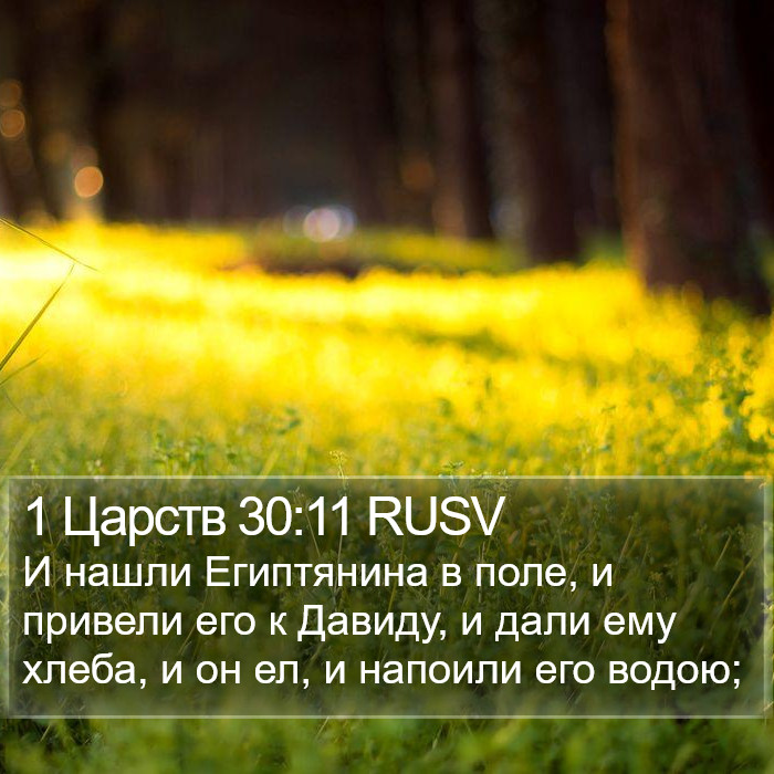 1 Царств 30:11 RUSV Bible Study