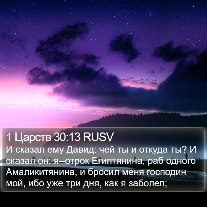 1 Царств 30:13 RUSV Bible Study