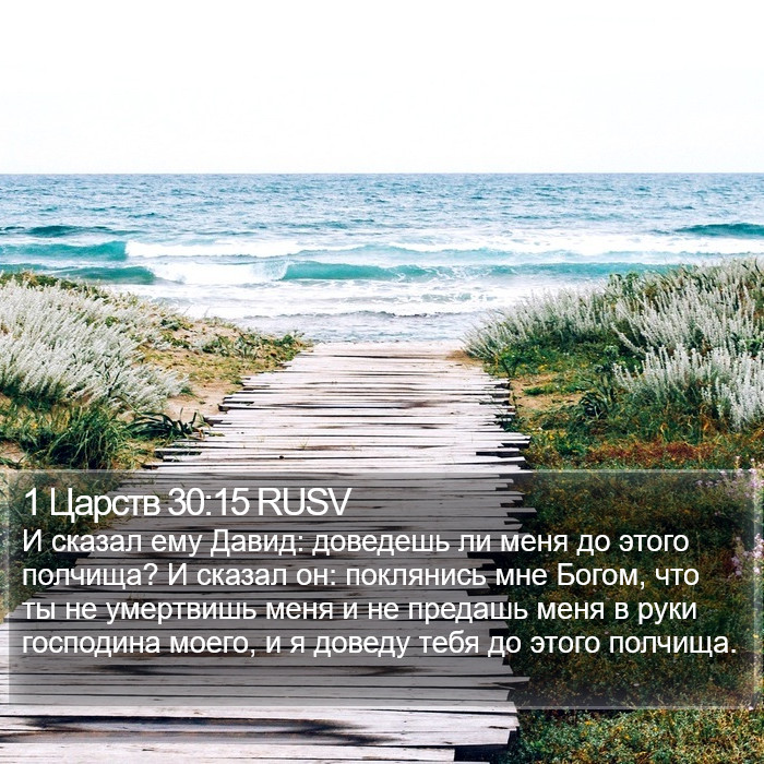 1 Царств 30:15 RUSV Bible Study