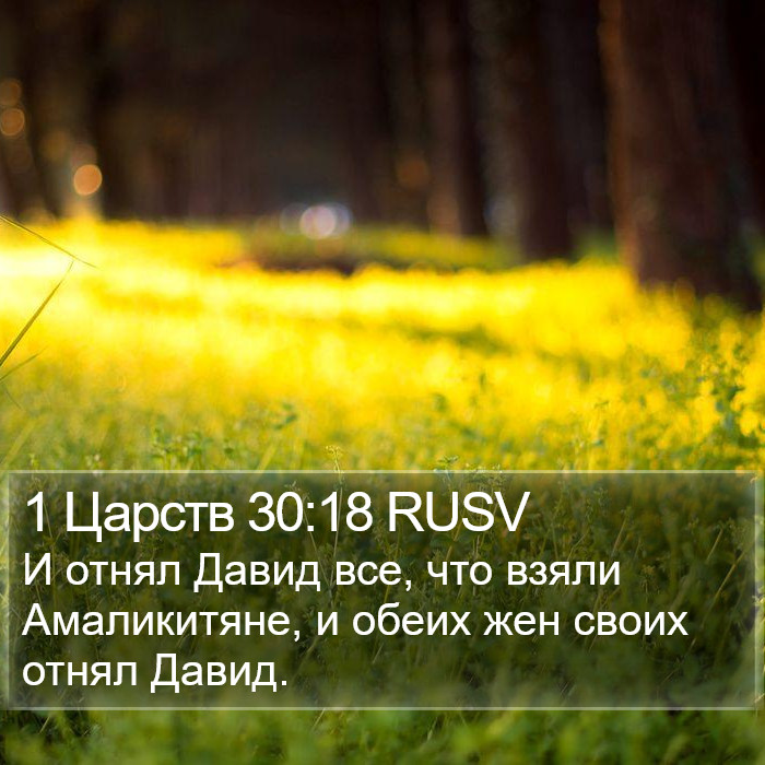 1 Царств 30:18 RUSV Bible Study