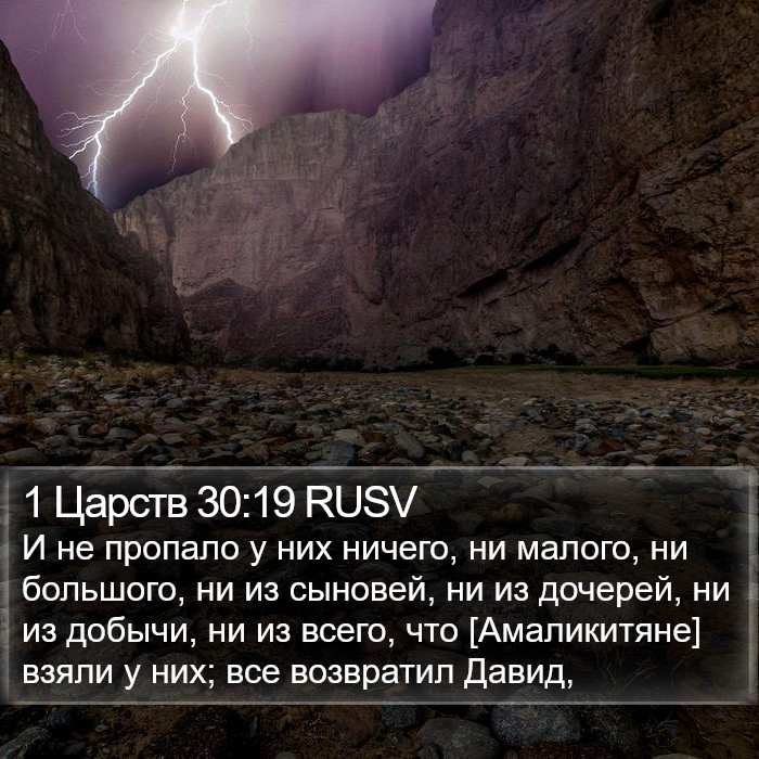 1 Царств 30:19 RUSV Bible Study