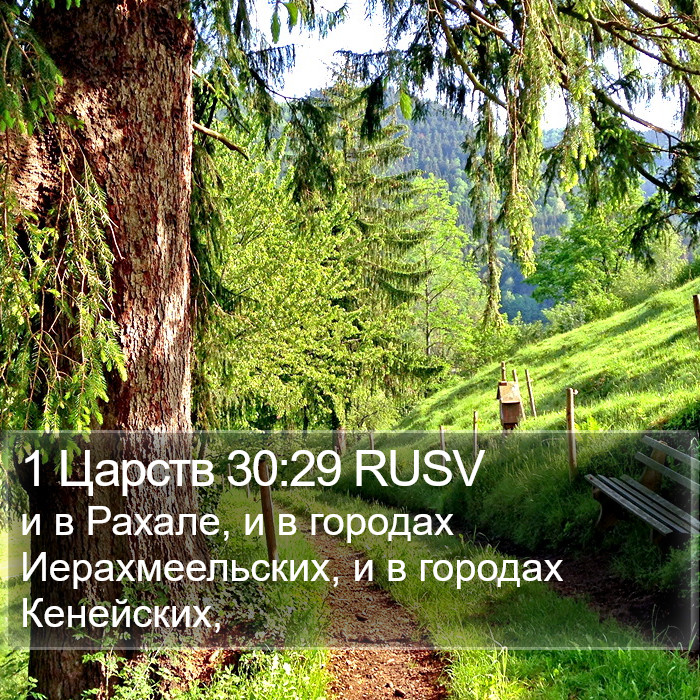 1 Царств 30:29 RUSV Bible Study