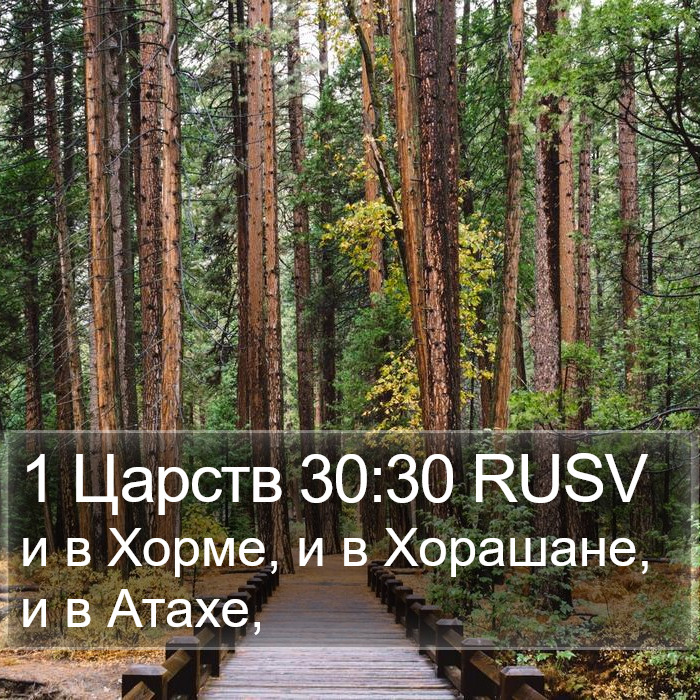 1 Царств 30:30 RUSV Bible Study