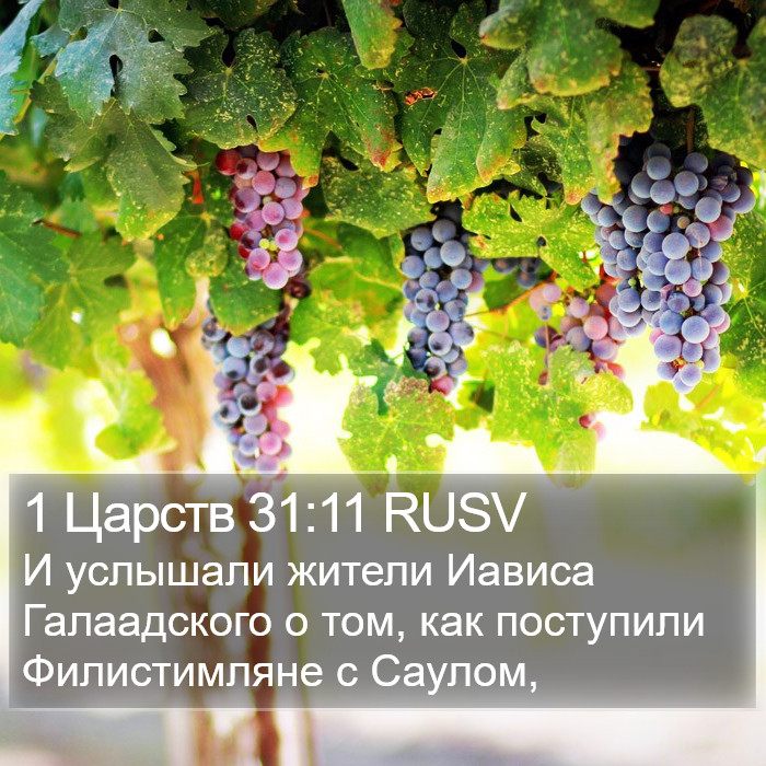 1 Царств 31:11 RUSV Bible Study